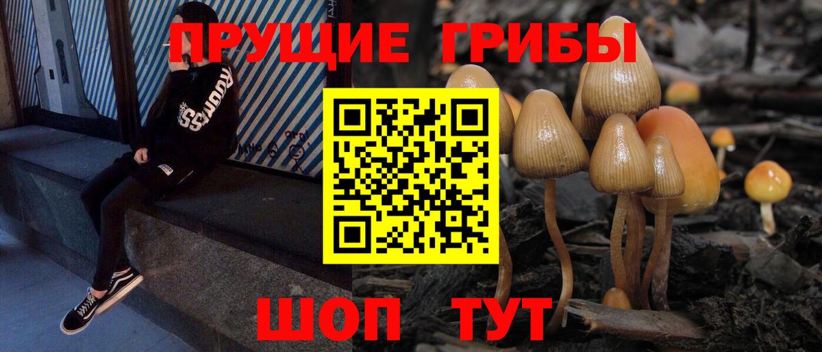 Галлюциногенные грибы ЛСД  Вход с VPN  Глазов 
